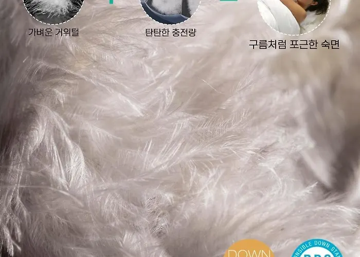 명동 침실3 욕실2개 계단없음 1층 가족 아이 성신여대입구역 5분 7박이상 픽업무료 *